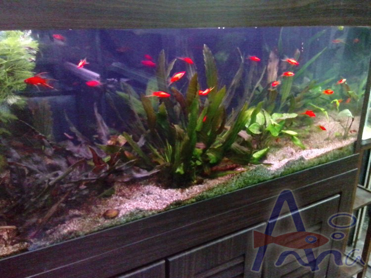 彰化水族館,魚缸設備